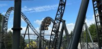 IMG_4463.jpeg